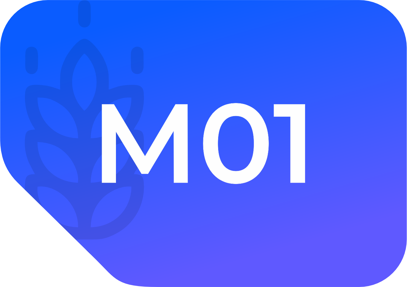 m01