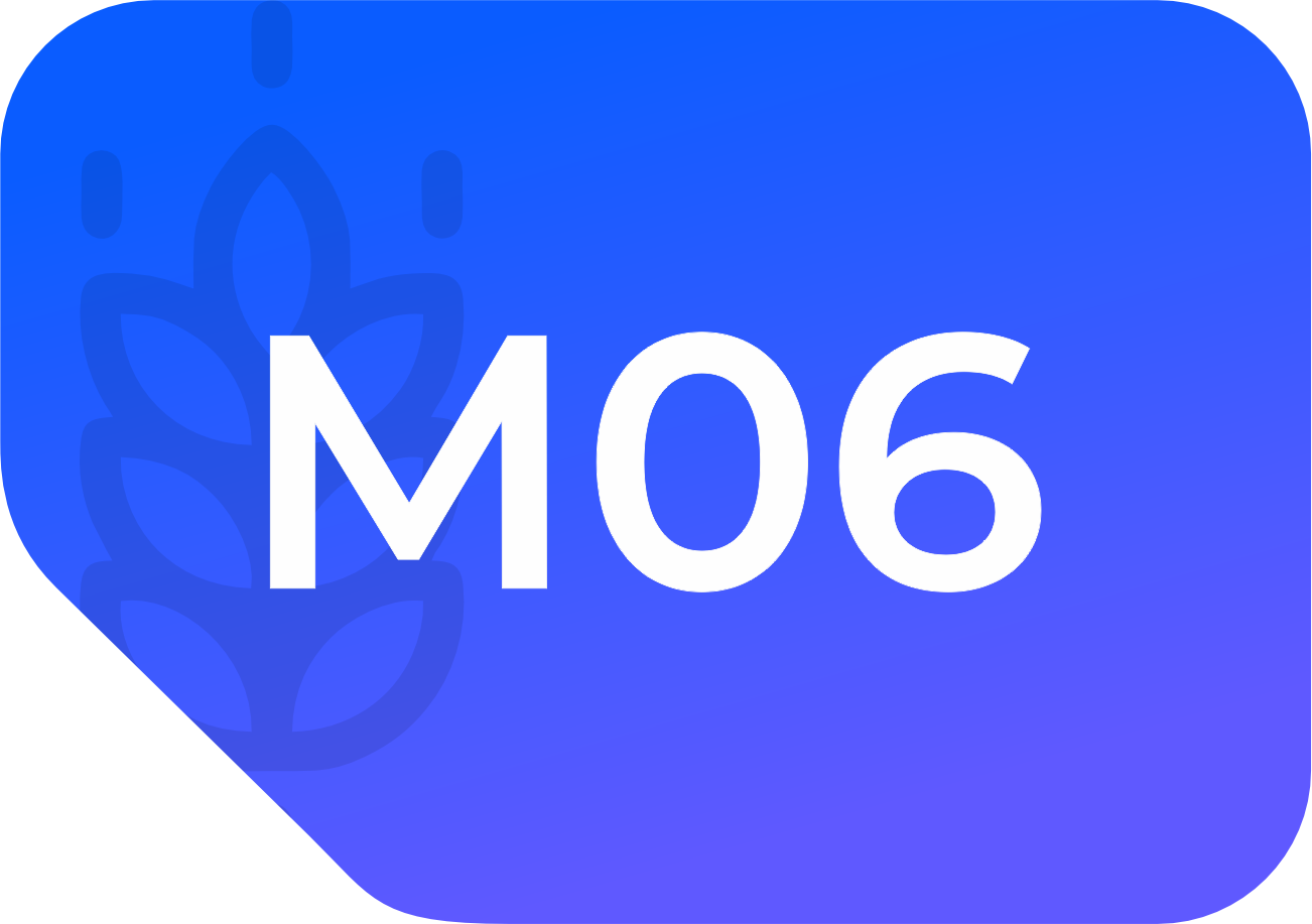 m06