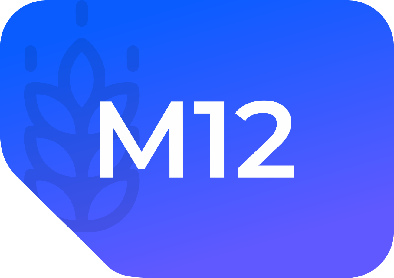 m12