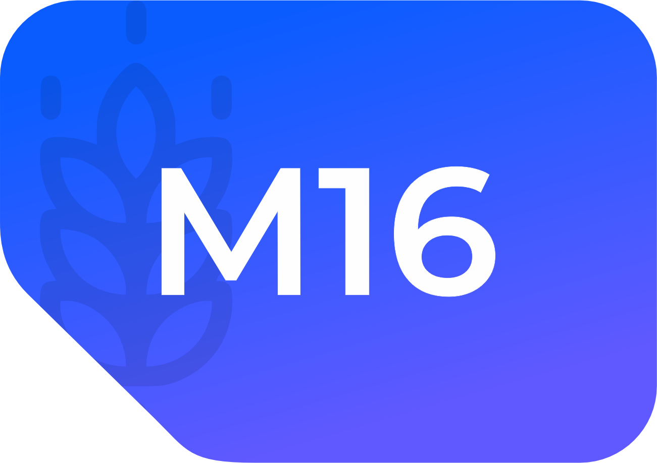 m16