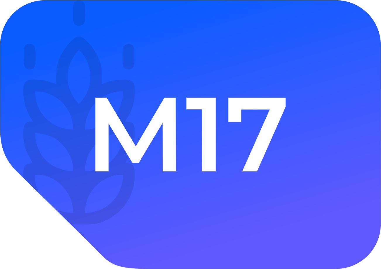 m17