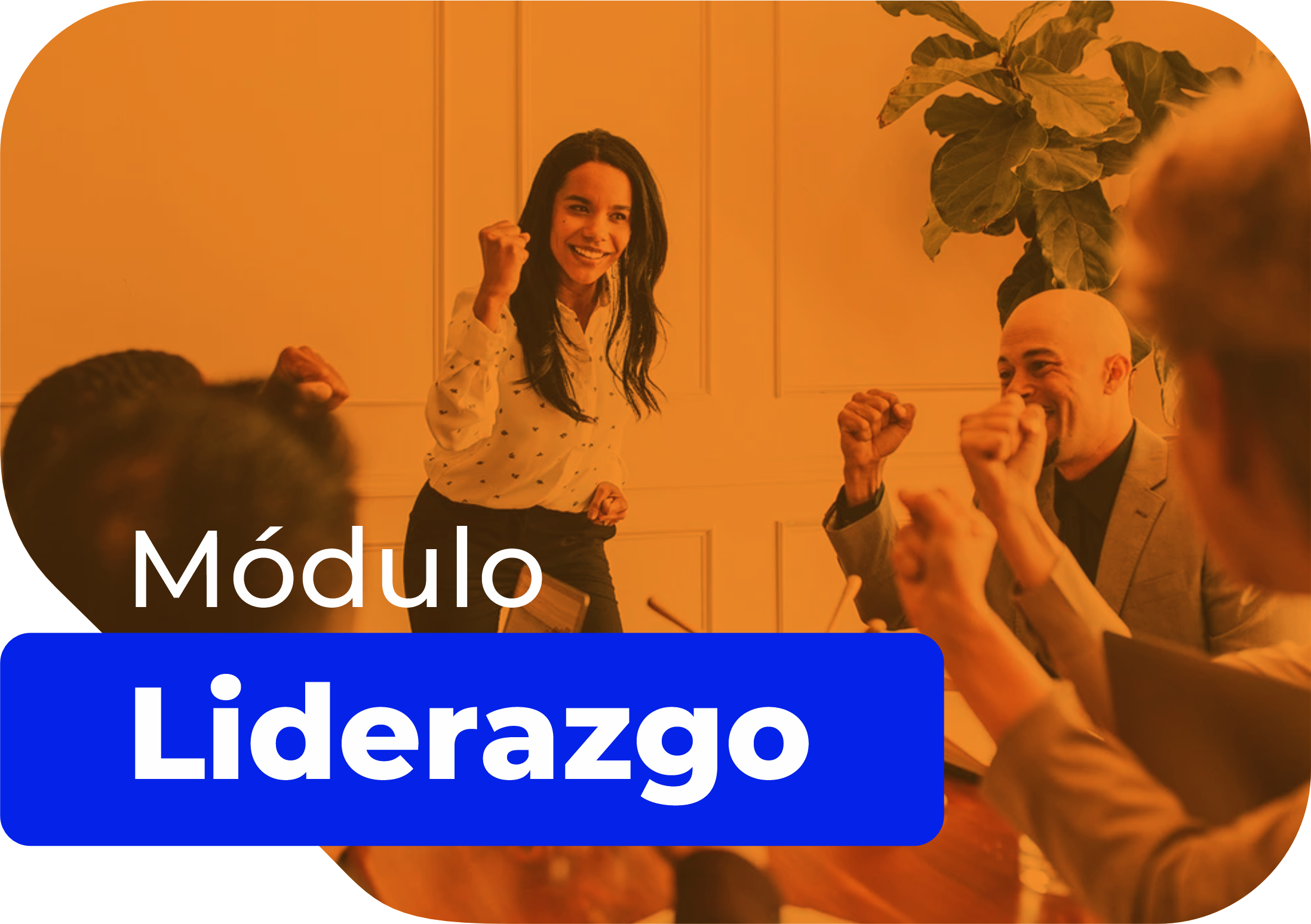 Acceso a módulo de liderazgo